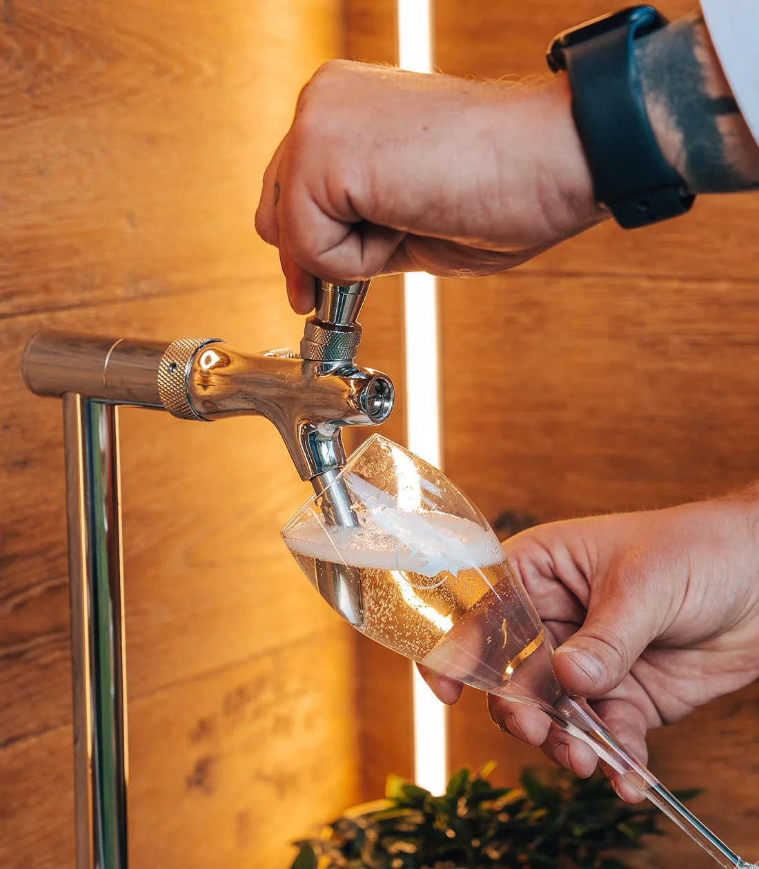 ProseccoVan-prosecco-Zlín (2)